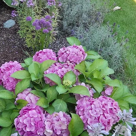 شقة Poell ريد إم أوبيرينتال