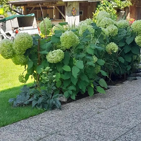 Daire Poell Ried im Oberinntal