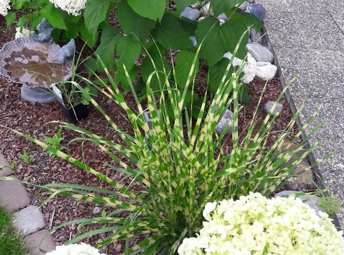 Poell Apartment Ried im Oberinntal