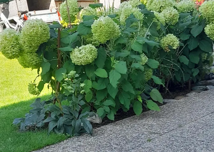 Apartmán Poell Ried im Oberinntal