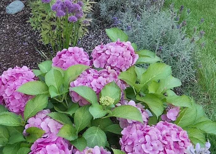 Apartment Poell Ried im Oberinntal